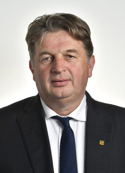 Stefano Valdegamberi