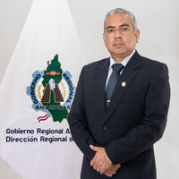 Enrique Javier Vigil Ventura