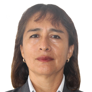 Dina Liliana Mujica Alfaro