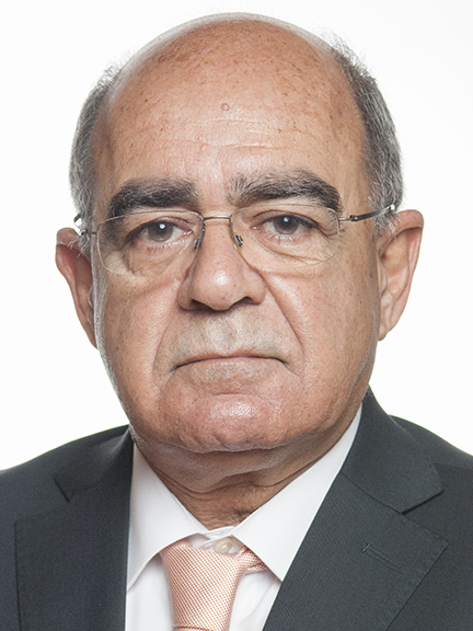 Rui Fernando Da Cunha Mendes Riso