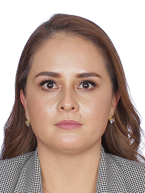 Ana Laura Sánchez Velázquez