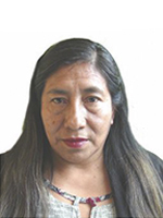 Norma Meneses Rojas