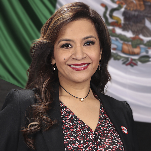 Erika Hernández Gordillo