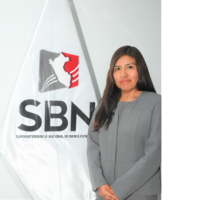 Marisela Estrella Lliuyacc Ccasani