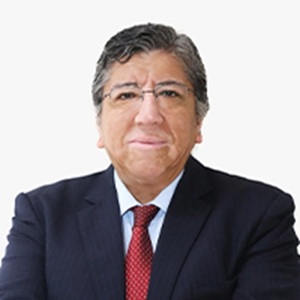 Sr Gregorio Mattos Torres