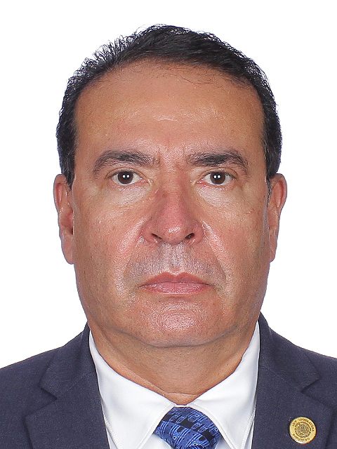 Mario Mata Carrasco