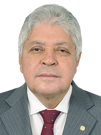 Alcides Rodrigues Filho