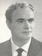Michelangelo Nicoletti