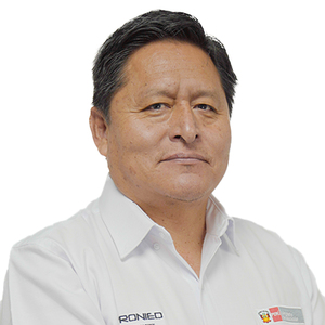 Mirko Pérez Vallejo