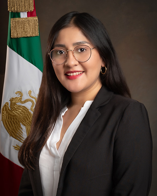 Liliana Michel Sánchez Allende