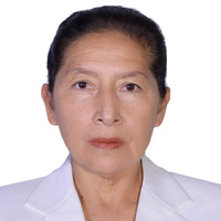 Dina Pando Mamani