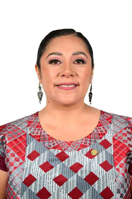 Xochitl Bravo Espinosa