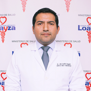 Julio Cesar Ricardo Castillo Garagate