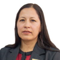 Diana Luz Corilloclla Sánchez