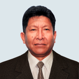 Wilmer Huancahuari Palomino