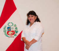 Priscila Cristina Frizancho Peña