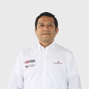 Francisco Javier Villegas Alarcón