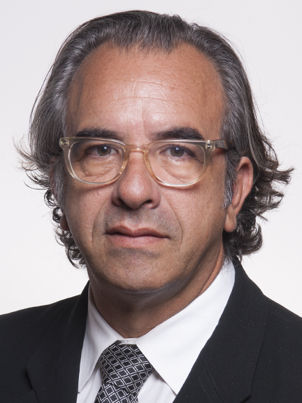 Luís Miguel Vilhena De Carvalho