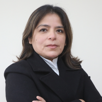 Dioly Yanivi Velásquez Manchego