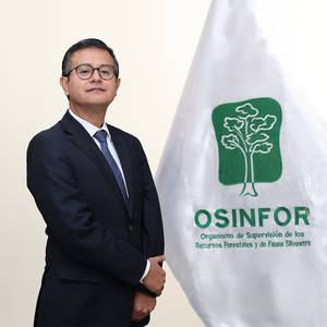 Denis Omar Córdova Chacón