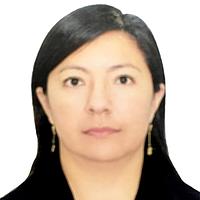 Daniyar Gulsari Sulca Huamaní