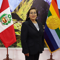 Marisol Segovia Enriquez