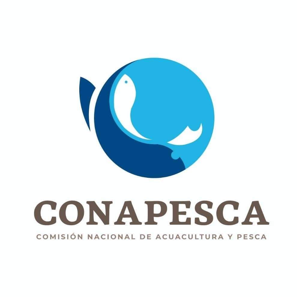 Dirección De Organización Y Fomento De La Comisión Nacional De Acuacultura Y Pesca