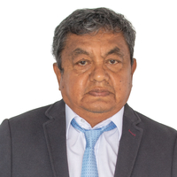 Raul Huambachano Castro