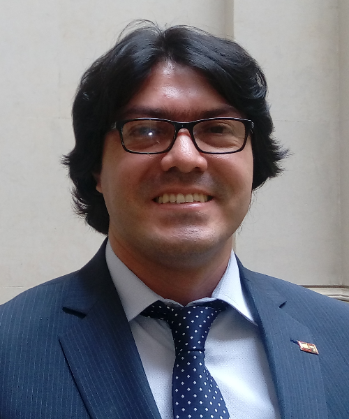 David Ernesto Pulido Novoa