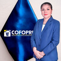 Letty Francheska De Los Santos Suyón