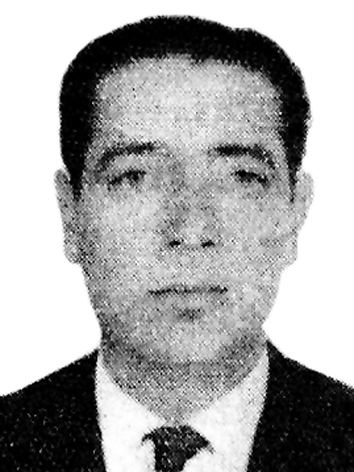 Simão Vianna Da Cunha Pereira