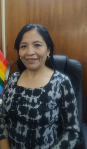 Marlene Haydee Quintanilla Mamani