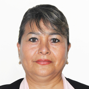 Lady Angelica Cerna Tarrillo