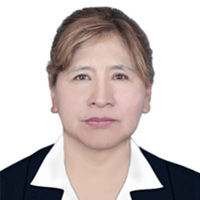 Rosario Sucapuca Visa