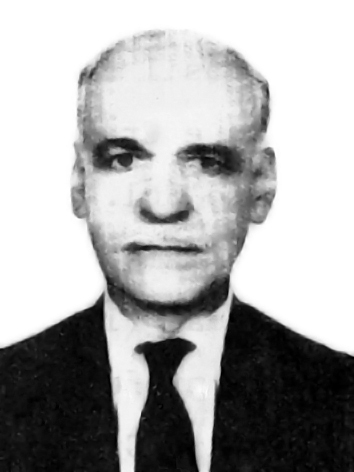 Alcides Flôres Soares Junior