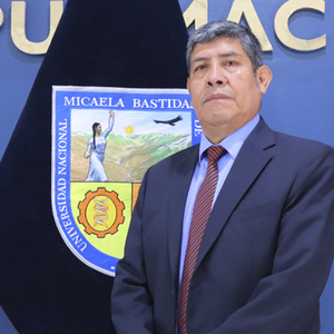 Edwar Illasaca Cahuata