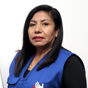 Jealine Roslin Villanueva Ramírez