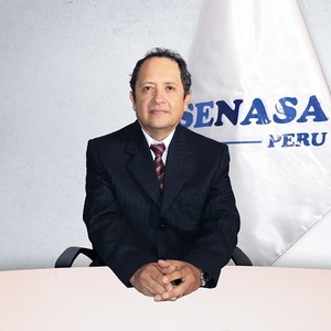 Waldo Arturo Cornejo Cáceres