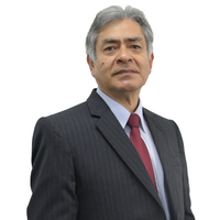 Dive Raul Lescano Avalos
