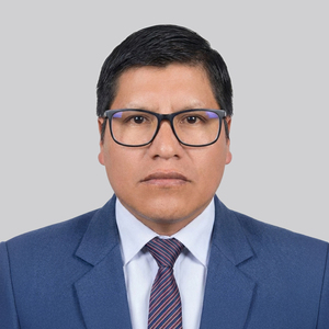Jilmer Abimelec Cayllahua Bustamante
