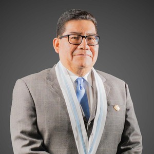 Carlos Alberto Mamani Tellez