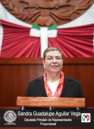 Sandra Guadalupe Aguilar Vega