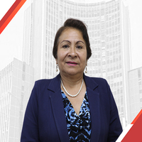 Maximina Soledad Guanilo Amaya