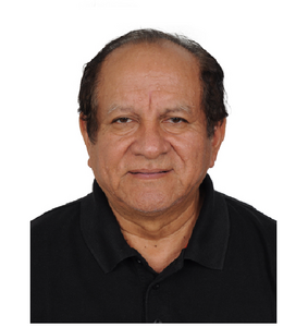 Dennis Del Castillo Torres