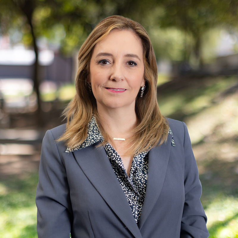 Maricarmen Martínez Villarreal