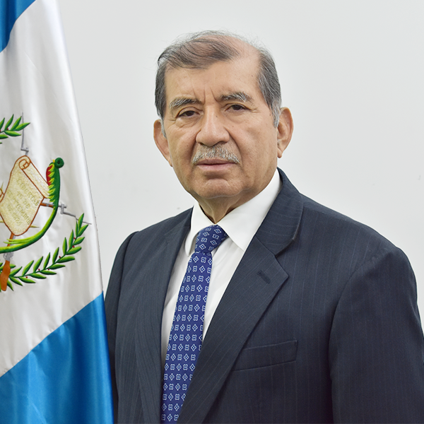 Msc. Mynor Custodio Franco Flores