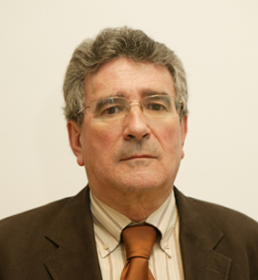 Luis Pizarro Medina