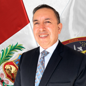 Jorge Luis Paredes Silva