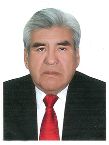 Maximiliano Julia Colque Valdivia
