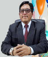 Irmer Herminio Palacios Panez